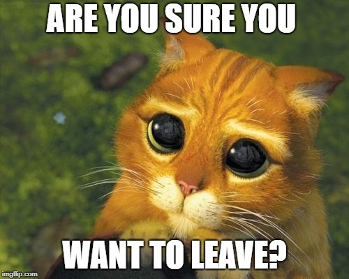 Sad cat | ARE YOU SURE YOU; WANT TO LEAVE? | image tagged in sad cat | made w/ Imgflip meme maker