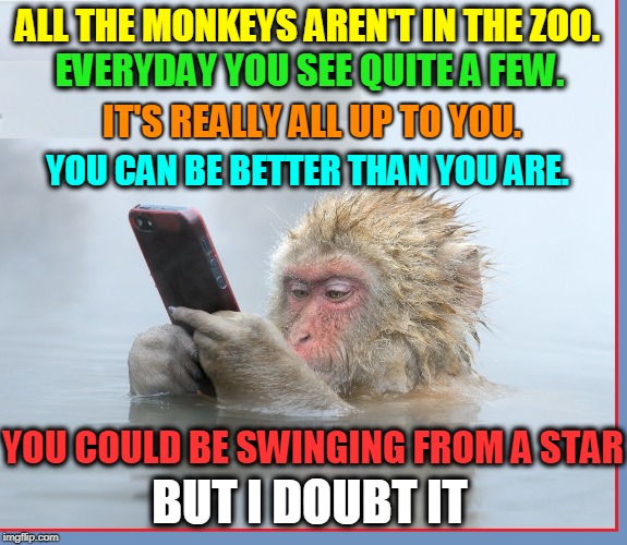 Wisdom from 1944... and Bing Crosby | ALL THE MONKEYS AREN'T IN THE ZOO. EVERYDAY YOU SEE QUITE A FEW. IT'S REALLY ALL UP TO YOU. YOU CAN BE BETTER THAN YOU ARE. YOU COULD BE SWINGING FROM A STAR; BUT I DOUBT IT | image tagged in vince vance,swingin' on a star,monkey with a cell phone,monkeys,going my way,jimmy van heusen  johnny burke | made w/ Imgflip meme maker