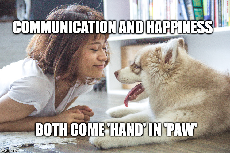 Hand in paw | COMMUNICATION AND HAPPINESS; BOTH COME 'HAND' IN 'PAW' | image tagged in pets,life,happiness,love,communication | made w/ Imgflip meme maker