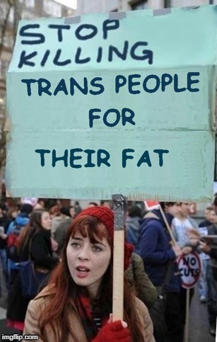 Stop Killing Trans People | image tagged in protester,alligators,transgender,trans,dumb,dumb people | made w/ Imgflip meme maker