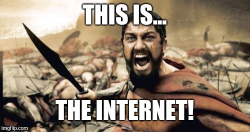 Sparta Leonidas Meme | THIS IS... THE INTERNET! | image tagged in memes,sparta leonidas | made w/ Imgflip meme maker