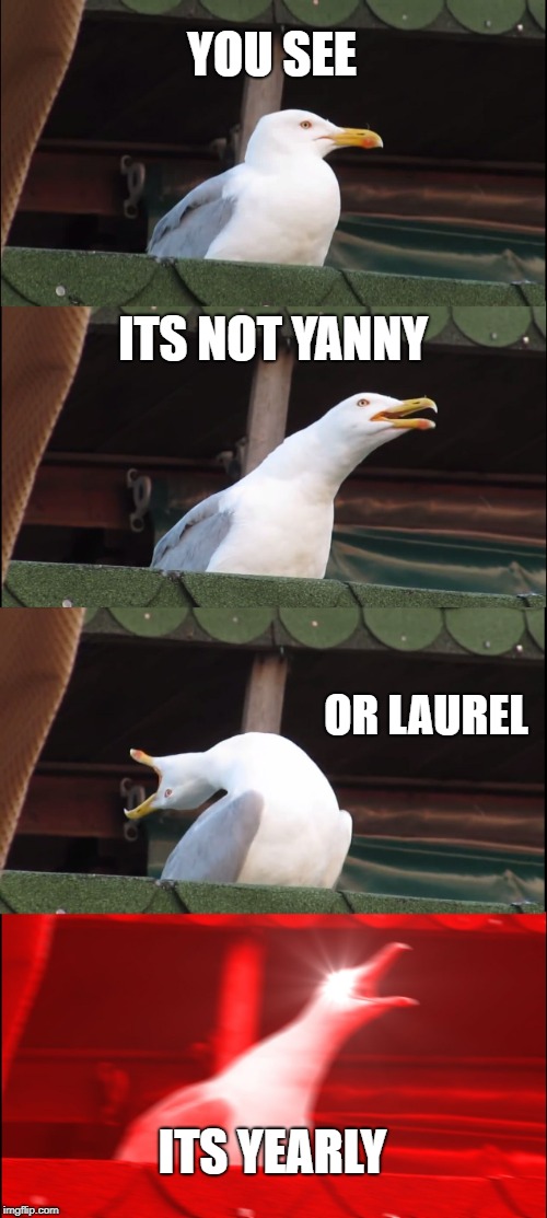 Inhaling Seagull | YOU SEE; ITS NOT YANNY; OR LAUREL; ITS YEARLY | image tagged in memes,inhaling seagull | made w/ Imgflip meme maker