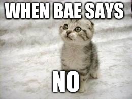 Sad Cat Meme | WHEN BAE SAYS; NO | image tagged in memes,sad cat | made w/ Imgflip meme maker