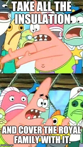 Put It Somewhere Else Patrick Meme | TAKE ALL THE INSULATION AND COVER THE ROYAL FAMILY WITH IT. | image tagged in memes,put it somewhere else patrick | made w/ Imgflip meme maker