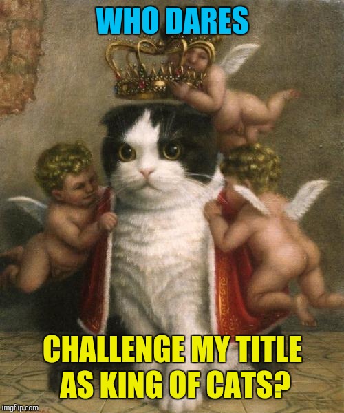 WHO DARES CHALLENGE MY TITLE AS KING OF CATS? | made w/ Imgflip meme maker