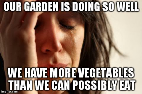 First World Problems | image tagged in memes,first world problems | made w/ Imgflip meme maker