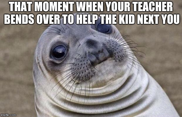 Awkward Moment Sealion | THAT MOMENT WHEN YOUR TEACHER BENDS OVER TO HELP THE KID NEXT YOU | image tagged in memes,awkward moment sealion | made w/ Imgflip meme maker