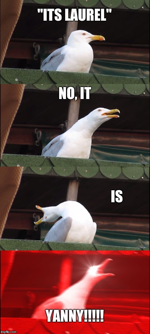 the yanny/laurel thing | "ITS LAUREL" NO, IT IS YANNY!!!!! | image tagged in memes,inhaling seagull | made w/ Imgflip meme maker
