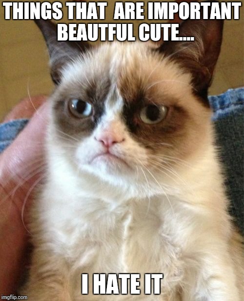 Grumpy Cat | THINGS THAT  ARE IMPORTANT  BEAUTFUL CUTE.... I HATE IT | image tagged in memes,grumpy cat | made w/ Imgflip meme maker