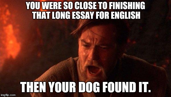 You Were The Chosen One (Star Wars) | YOU WERE SO CLOSE TO FINISHING THAT LONG ESSAY FOR ENGLISH; THEN YOUR DOG FOUND IT. | image tagged in memes,you were the chosen one star wars | made w/ Imgflip meme maker