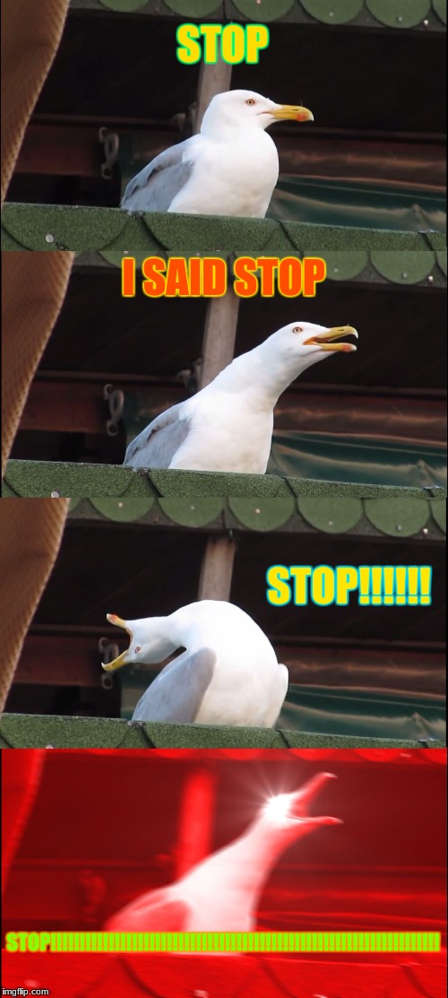 Inhaling Seagull | STOP; I SAID STOP; STOP!!!!!! STOP!!!!!!!!!!!!!!!!!!!!!!!!!!!!!!!!!!!!!!!!!!!!!!!!!!!!!!!!!!!!!!!!!!! | image tagged in memes,inhaling seagull | made w/ Imgflip meme maker