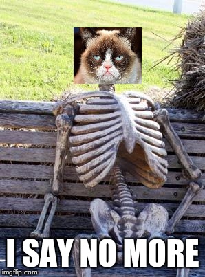 Waiting Skeleton Meme | I SAY NO MORE | image tagged in memes,waiting skeleton | made w/ Imgflip meme maker