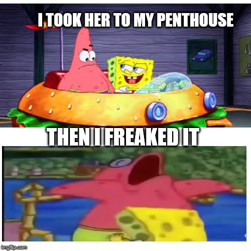 I TOOK HER TO MY PENTHOUSE; THEN I FREAKED IT | image tagged in no patrick | made w/ Imgflip meme maker