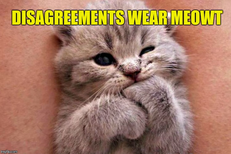 DISAGREEMENTS WEAR MEOWT | made w/ Imgflip meme maker