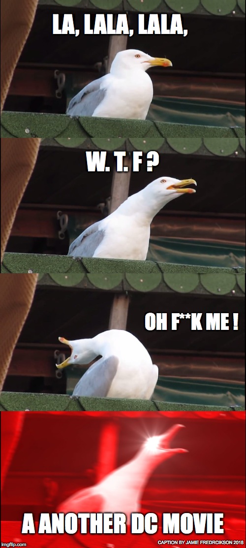 Inhaling Seagull Meme | LA, LALA, LALA, W. T. F ? OH F**K ME ! A ANOTHER DC MOVIE; CAPTION BY JAMIE FREDRCIKSON 2018 | image tagged in memes,inhaling seagull | made w/ Imgflip meme maker