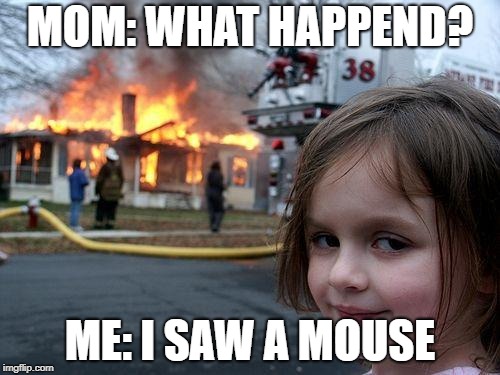 Disaster Girl | MOM: WHAT HAPPEND? ME: I SAW A MOUSE | image tagged in memes,disaster girl | made w/ Imgflip meme maker