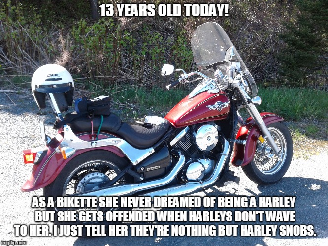 13 YEARS OLD TODAY! AS A BIKETTE SHE NEVER DREAMED OF BEING A HARLEY BUT SHE GETS OFFENDED WHEN HARLEYS DON'T WAVE TO HER. I JUST TELL HER THEY'RE NOTHING BUT HARLEY SNOBS. | image tagged in harleys,snobs | made w/ Imgflip meme maker