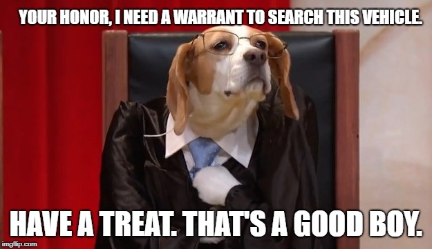 YOUR HONOR, I NEED A WARRANT TO SEARCH THIS VEHICLE. HAVE A TREAT. THAT'S A GOOD BOY. | made w/ Imgflip meme maker
