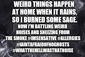WEIRD THINGS HAPPEN AT HOME WHEN IT RAINS, SO I BURNED SOME SAGE. NOW I'M BATTLING WEIRD NOISES AND SNEEZING FROM THE SMOKE #IMSENSATIVE #ALLERGIES #IAINTAFRAIDOFNOGHOSTS #WHATTHEHELLWASTHATNOISE | image tagged in allergies | made w/ Imgflip meme maker