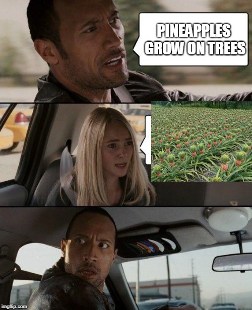 The Rock Driving | PINEAPPLES GROW ON TREES | image tagged in memes,the rock driving | made w/ Imgflip meme maker