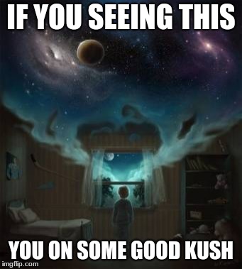 IF YOU SEEING THIS; YOU ON SOME GOOD KUSH | image tagged in kush | made w/ Imgflip meme maker