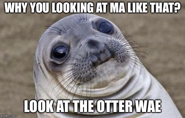 Why lookin’ at me like dat? | WHY YOU LOOKING AT MA LIKE THAT? LOOK AT THE OTTER WAE | image tagged in memes,awkward moment sealion | made w/ Imgflip meme maker