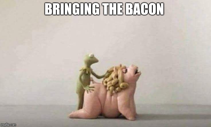 BRINGING THE BACON | made w/ Imgflip meme maker