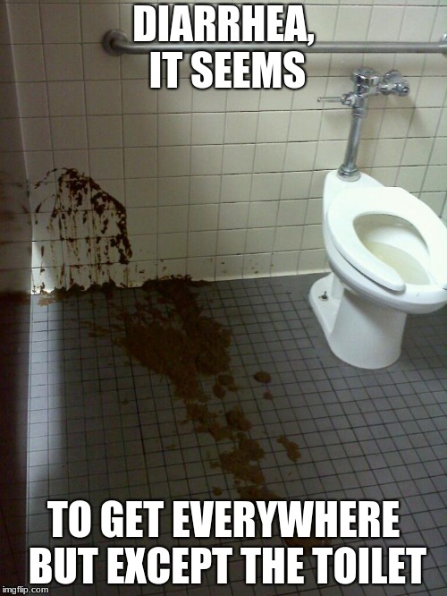 Diarrhea | DIARRHEA,  IT SEEMS; TO GET EVERYWHERE BUT EXCEPT THE TOILET | image tagged in diarrhea | made w/ Imgflip meme maker