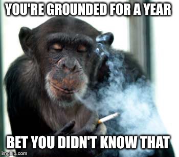 YOU'RE GROUNDED FOR A YEAR BET YOU DIDN'T KNOW THAT | made w/ Imgflip meme maker