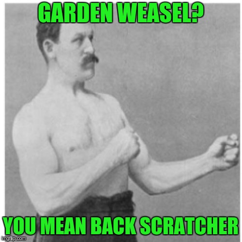 Overly Manly Man Meme | GARDEN WEASEL? YOU MEAN BACK SCRATCHER | image tagged in memes,overly manly man | made w/ Imgflip meme maker