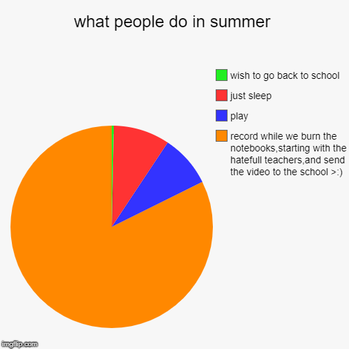 what people do in summer | record while we burn the notebooks,starting with the hatefull teachers,and send the video to the school >:), play | image tagged in funny,pie charts | made w/ Imgflip chart maker