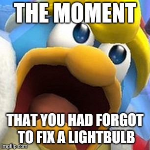 King Dedede oh shit face | THE MOMENT; THAT YOU HAD FORGOT TO FIX A LIGHTBULB | image tagged in king dedede oh shit face,memes | made w/ Imgflip meme maker