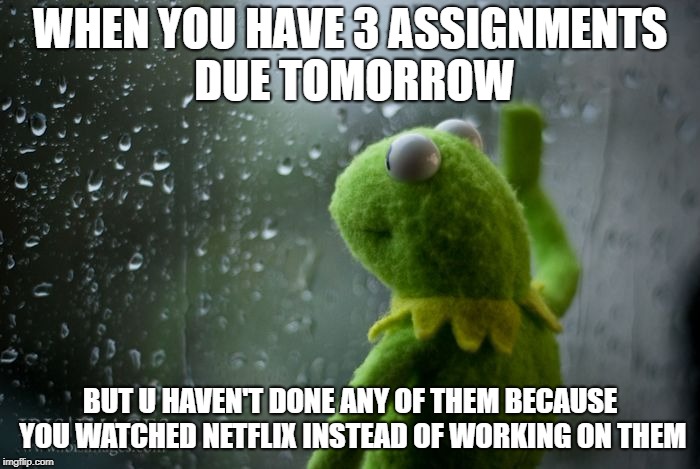 kermit window | WHEN YOU HAVE 3 ASSIGNMENTS DUE TOMORROW; BUT U HAVEN'T DONE ANY OF THEM BECAUSE YOU WATCHED NETFLIX INSTEAD OF WORKING ON THEM | image tagged in kermit window | made w/ Imgflip meme maker