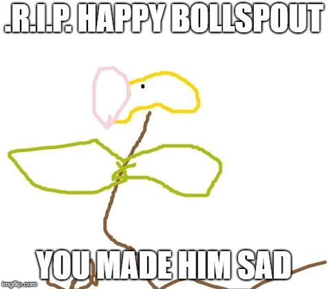 .R.I.P. HAPPY BOLLSPOUT; YOU MADE HIM SAD | image tagged in bollspout is sad | made w/ Imgflip meme maker