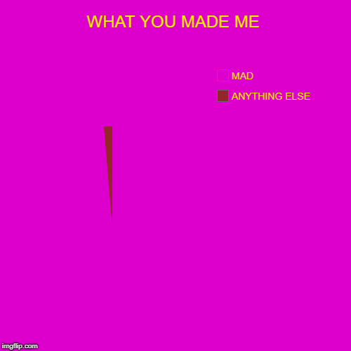 SEE | WHAT YOU MADE ME | ANYTHING ELSE, MAD | image tagged in funny,pie charts | made w/ Imgflip chart maker