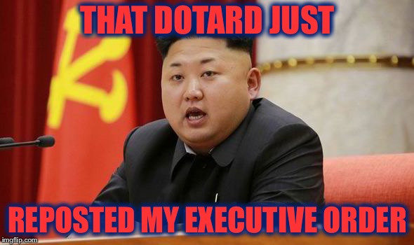 Kim Jong Un | THAT DOTARD JUST REPOSTED MY EXECUTIVE ORDER | image tagged in kim jong un | made w/ Imgflip meme maker