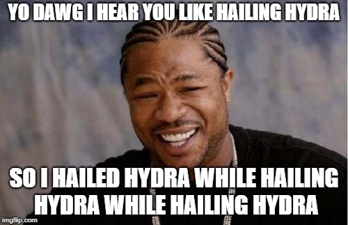 HAIL HYDRA! | YO DAWG I HEAR YOU LIKE HAILING HYDRA; SO I HAILED HYDRA WHILE HAILING HYDRA WHILE HAILING HYDRA | image tagged in memes,yo dawg heard you,comics,marvel,hail hydra | made w/ Imgflip meme maker