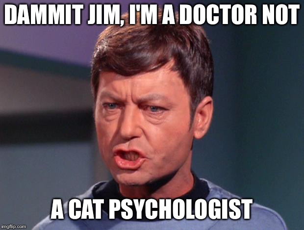 DAMMIT JIM, I'M A DOCTOR NOT A CAT PSYCHOLOGIST | made w/ Imgflip meme maker
