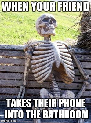 Waiting Skeleton | WHEN YOUR FRIEND; TAKES THEIR PHONE INTO THE BATHROOM | image tagged in memes,waiting skeleton | made w/ Imgflip meme maker