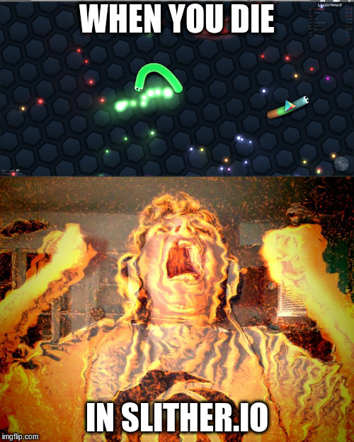 THE EXPERIENCE  | WHEN YOU DIE; IN SLITHER.IO | image tagged in games | made w/ Imgflip meme maker