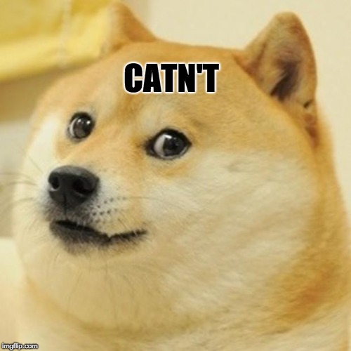 Doge Meme | CATN'T | image tagged in memes,doge | made w/ Imgflip meme maker