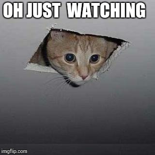 Ceiling Cat | OH JUST  WATCHING | image tagged in memes,ceiling cat | made w/ Imgflip meme maker