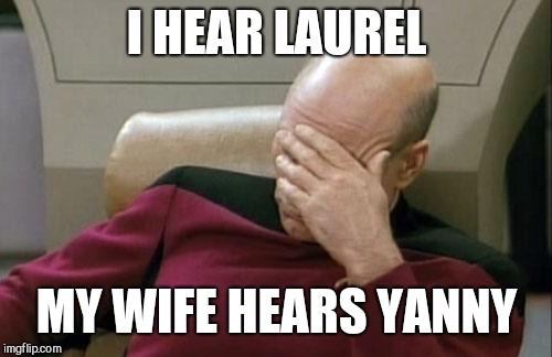 Captain Picard Facepalm Meme | I HEAR LAUREL MY WIFE HEARS YANNY | image tagged in memes,captain picard facepalm | made w/ Imgflip meme maker