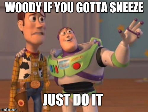 X, X Everywhere Meme | WOODY IF YOU GOTTA SNEEZE JUST DO IT | image tagged in memes,x x everywhere | made w/ Imgflip meme maker