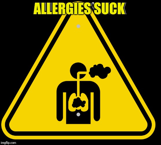 Hard to make memes with a lung infection | ALLERGIES SUCK | image tagged in sick | made w/ Imgflip meme maker