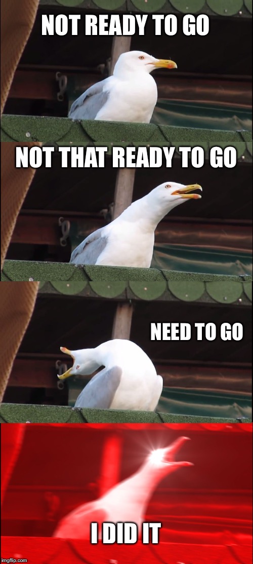 Inhaling Seagull | NOT READY TO GO; NOT THAT READY TO GO; NEED TO GO; I DID IT | image tagged in memes,inhaling seagull | made w/ Imgflip meme maker
