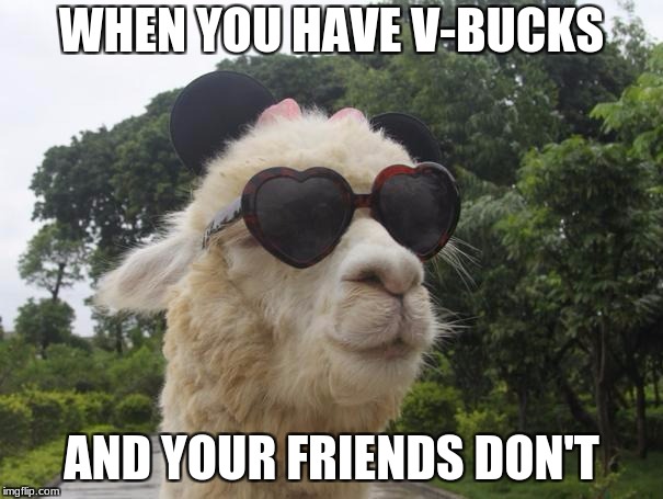 cool llama | WHEN YOU HAVE V-BUCKS; AND YOUR FRIENDS DON'T | image tagged in cool llama | made w/ Imgflip meme maker