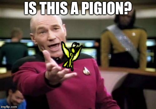 When you try too hard to not find NSFW templates | IS THIS A PIGION? | image tagged in memes,picard wtf,is this a pigeon,terrible,drawing,stop reading the tags | made w/ Imgflip meme maker