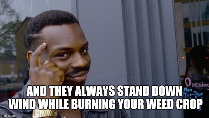 Roll Safe Think About It Meme | AND THEY ALWAYS STAND DOWN WIND WHILE BURNING YOUR WEED CROP | image tagged in memes,roll safe think about it | made w/ Imgflip meme maker
