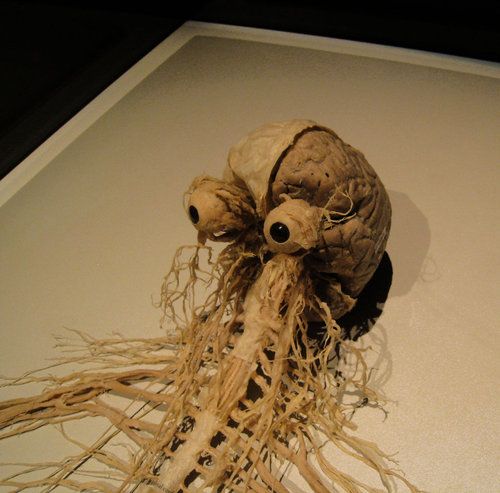 Nervous system  Blank Meme Template